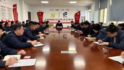 泰山燃气集团所属肥城泰燃公司召开2024年经济运行分析暨2025年工作务虚会